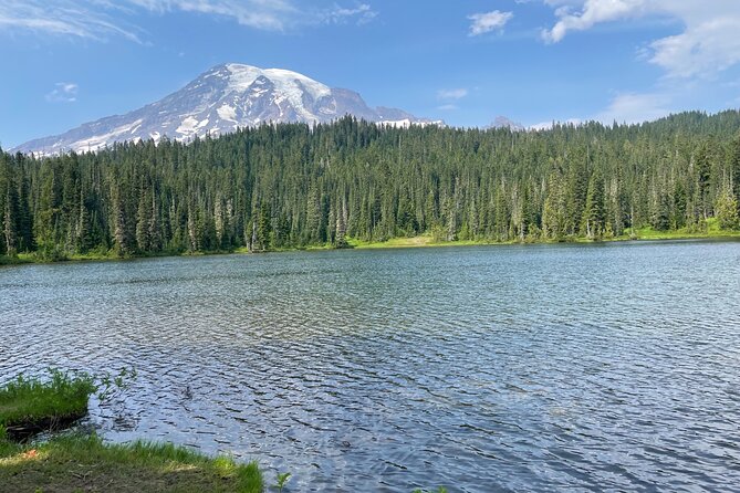 Full-Day Mt Rainier National Park Private Tour in SUV - Christine Falls viewpoint: a quick win when time is tight