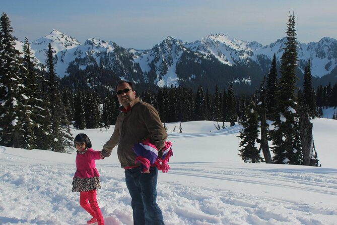 Full-Day Mt Rainier National Park Private Tour in SUV - Price and value: when $685 makes sense—and when to think twice