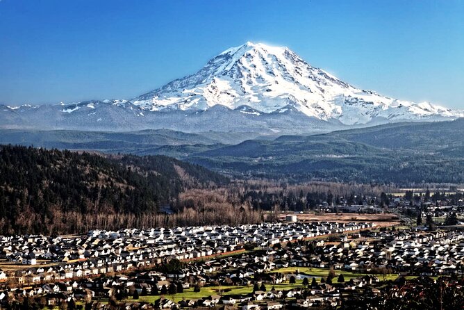 Full-Day Mt Rainier National Park Private Tour in SUV - Guide quality matters: what strong guiding looks like here