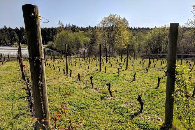 Full-Day Small-Group Bainbridge Island Wine and History Tour - Key highlights at a glance