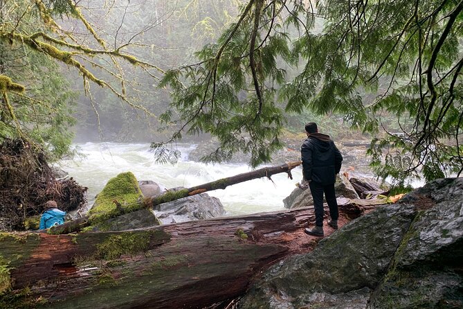 Guided forest hike to Seattle waterfalls incl. Snoqualmie Falls - Snoqualmie Falls platforms: 270 feet of real power