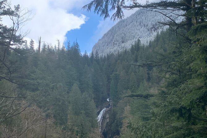 Guided forest hike to Seattle waterfalls incl. Snoqualmie Falls - Price and value at $79: what you’re really paying for