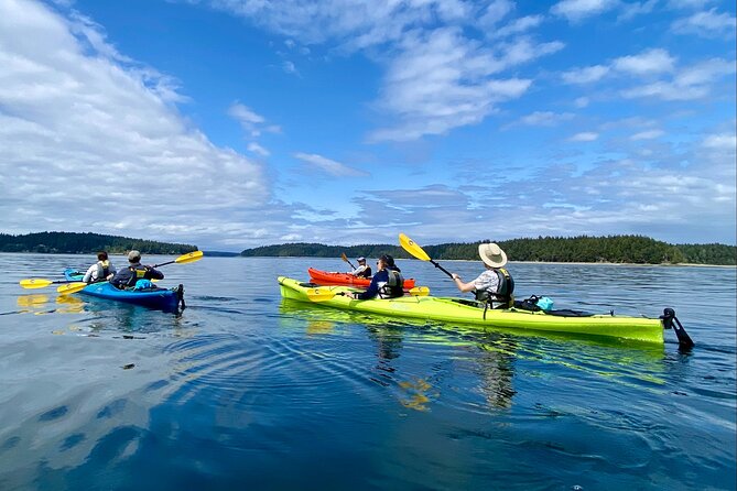 Guided Kayak Tour To Hope Island State Park - Key highlights