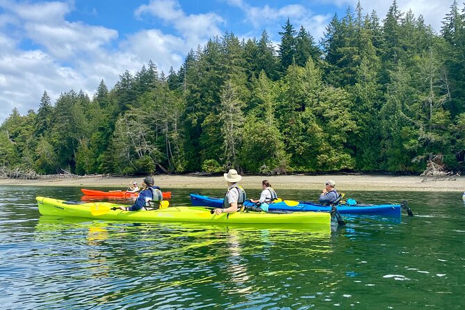 Guided Kayak Tour To Hope Island State Park - Wildlife spotting you can actually focus on