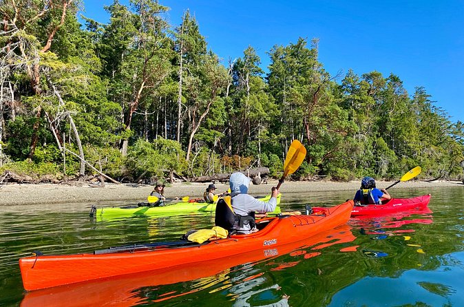 Guided Kayak Tour To Hope Island State Park - What to bring: clothing that handles spray and your own snacks