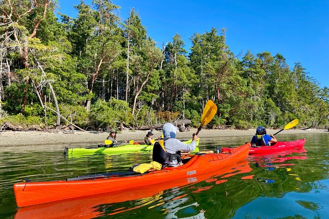 Guided Kayak Tour To Hope Island State Park - Weather and fitness: the limits that protect the experience