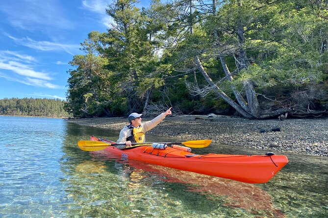 Guided Kayak Tour To Hope Island State Park - Getting your balance: instruction, double kayaks, and the right pace