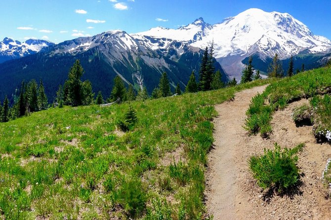 Hike Mt. Rainier & Taste Yakima Valley Wine: All-Inclusive Day Tour from Seattle - Why This Mt. Rainier Hike Feels Like a Real Adventure