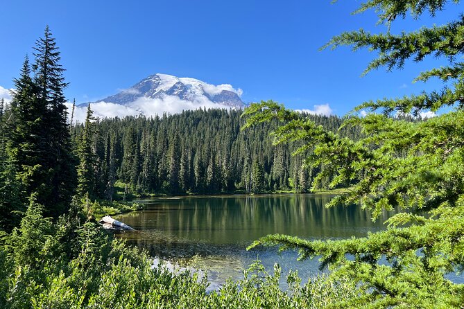 Mount Rainier Customized Tour from Seattle - A Mount Rainier day trip that keeps you moving, not guessing