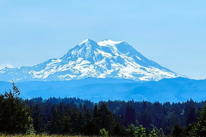 Mount Rainier Customized Tour from Seattle - Christine Falls viewpoint: short stop, big payoff