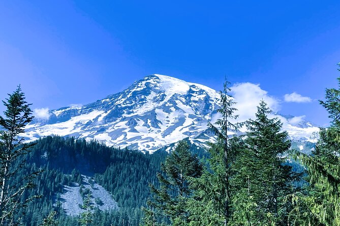 Mount Rainier Customized Tour from Seattle - Narada Falls: one of the biggest hits in the park