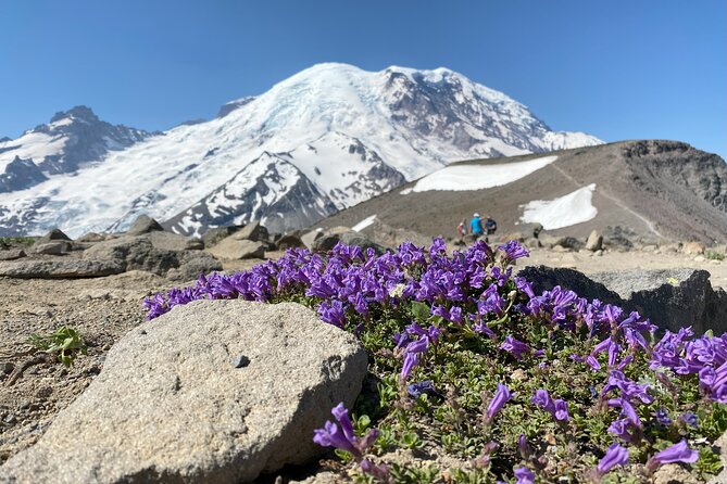 Mount Rainier Day Hike - Flexible Hike Lengths: How the Day Stays Comfortable