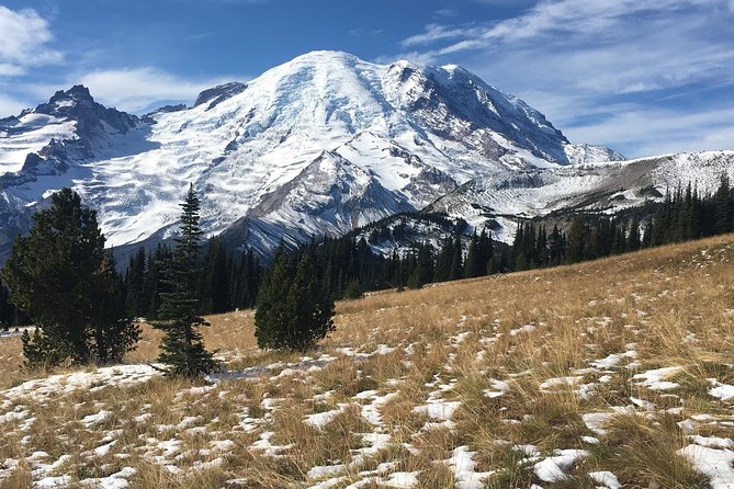 Mount Rainier Day Hike - Guides Matter: Why Having a Pro Changes the Day