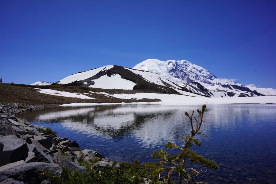 Mount Rainier: Day Hike on the Mountain - Seattle to Sunrise: the drive that sets your tone