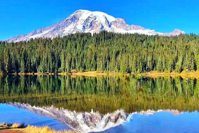 Mount Rainier National Park Day Tour from Seattle - Key things to know before you go