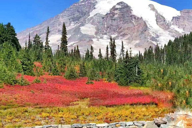 Mount Rainier National Park Day Tour from Seattle - Narada Falls: the biggest car-accessible waterfall payoff