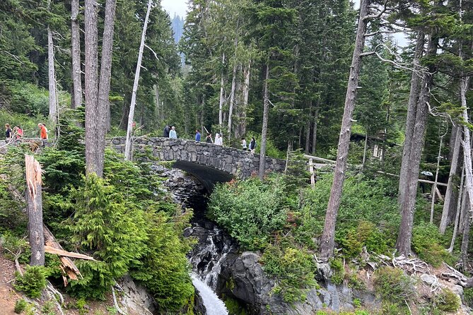 Mount Rainier Private Full Day — Sprinter Van or SUV - Comfort and Budget: What You Actually Get for $350