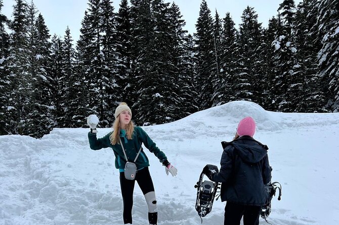 Mount Rainier Private Full Day — Sprinter Van or SUV - Who This Mount Rainier Day Works Best For