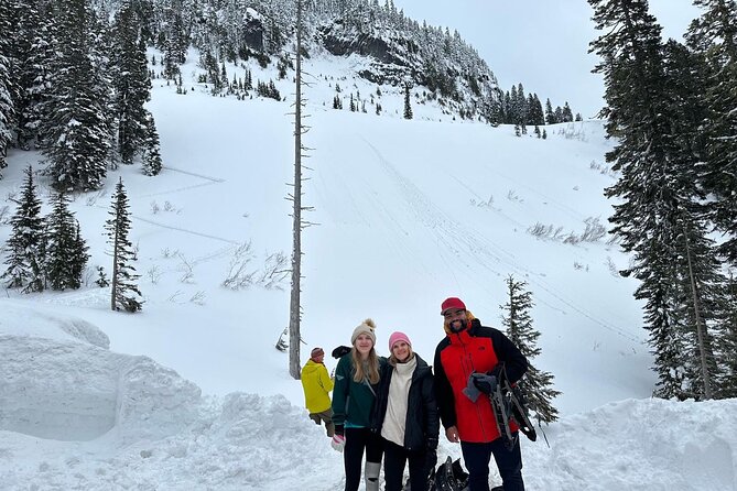 Mount Rainier Private Full Day — Sprinter Van or SUV - Paradise’s Skyline Trail: The Classic Hike Portion