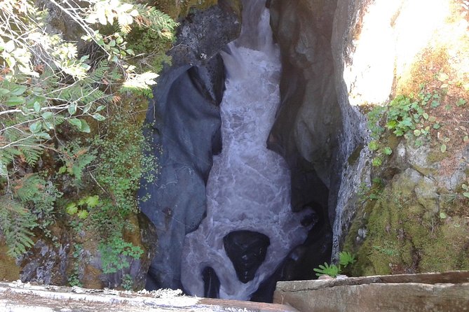 Mount Rainier Tour from Seattle - Comfort and pacing: how snacks, water, and the day’s rhythm work