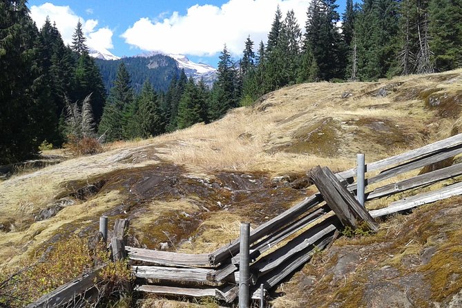 Mount Rainier Tour from Seattle - Private guiding: why having your group changes everything
