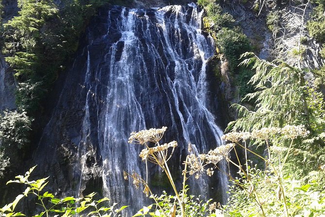 Mount Rainier Tour from Seattle - Weather reality at Rainier: making a good day out of bad weather
