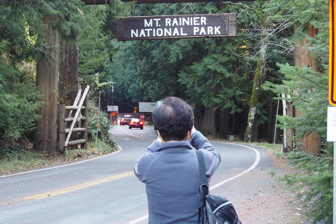 Mt. Rainier Day Tour from Seattle - Narada Falls and Christine Falls: two waterfall stops that matter