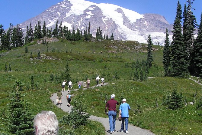 Mt. Rainier Day Tour from Seattle - Henry M. Jackson Visitor Center: lunch, breaks, and wildlife-spotting time