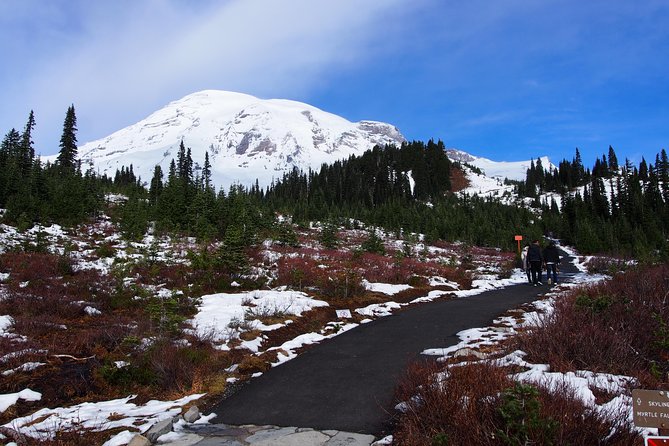 Mt. Rainier Day Tour from Seattle - Twin Firs Loop Trail: a short walk that year-round visitors love