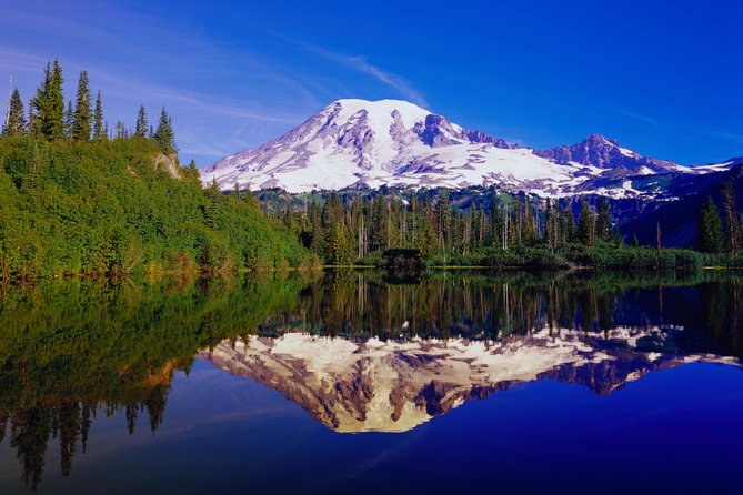 Mt. Rainier Day Tour from Seattle - Choose your pace: hiking, snowshoes, and what you should wear