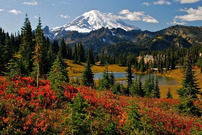 Mt. Rainier highlights - old forest, falls and glaciers - Key highlights at a glance