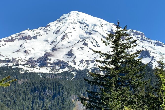 Mt. Rainier highlights - old forest, falls and glaciers - Narada and Christine Falls: two waterfall hits with quick walking