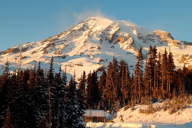Mt. Rainier National Park Highlights Tour - Key things you’ll care about