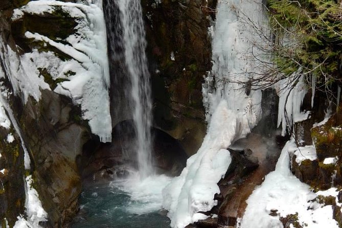Mt. Rainier National Park Highlights Tour - A 7:20 a.m. start: Hotel pickup and the Seattle-to-Park drive