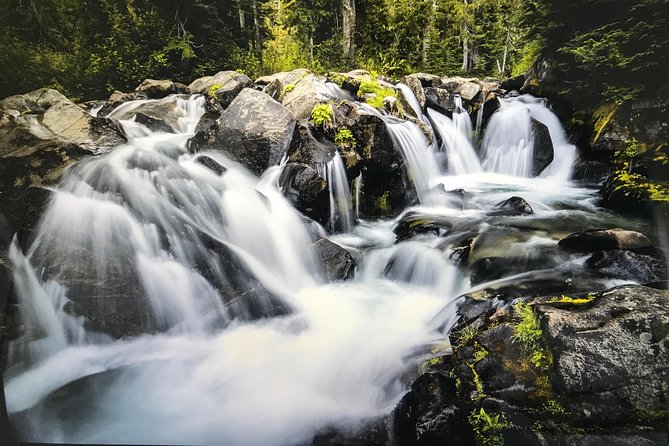 Mt. Rainier National Park Highlights Tour - Paradise Valley at 5,400 feet: The view, food options, and winter access limits