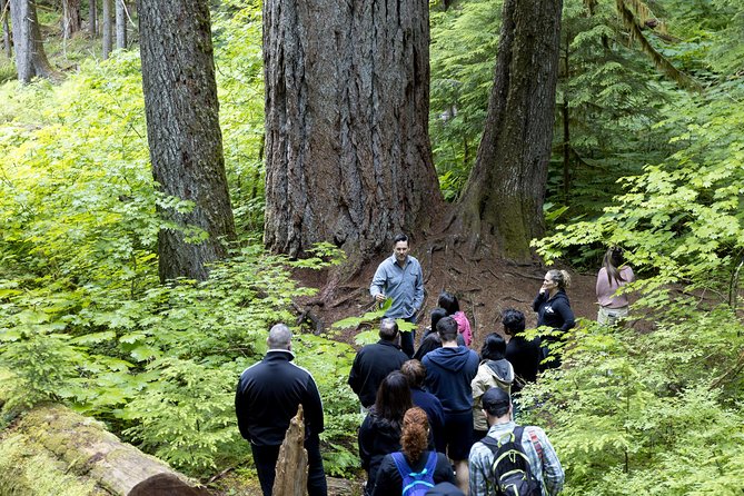Mt. Rainier National Park Highlights Tour - Best day-trip fit: who should book, and who should plan differently