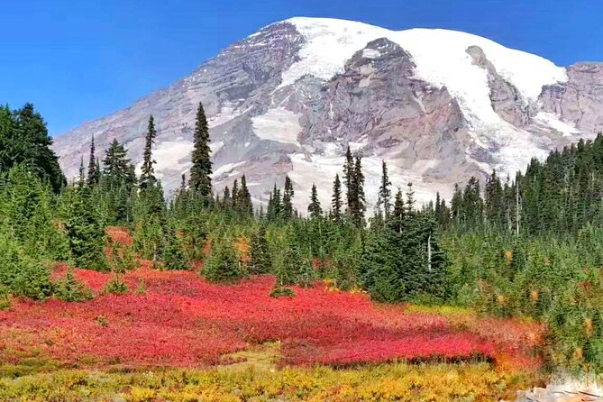 Mt Rainier National Park Small Group Day Tour from Seattle 2CanGo - Longmire Museum: A Low-Stress Start at 2,700 Feet