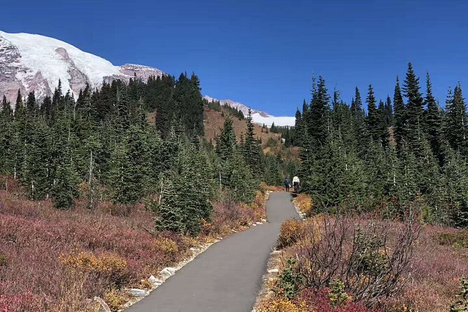 Mt Rainier National Park Small Group Day Tour from Seattle 2CanGo - Paradise Visitor Area: Where the Best Views Can Be Conditional