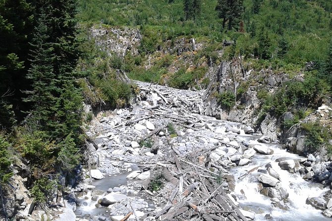 Mt Rainier Private Tour Experience in SUV - Pickup, timing, and how the 9-hour day is paced