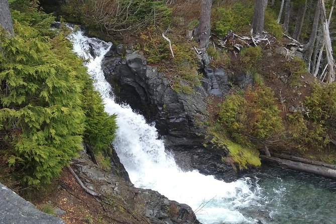 Mt Rainier Private Tour Experience in SUV - Flexible walking levels that keep the day enjoyable
