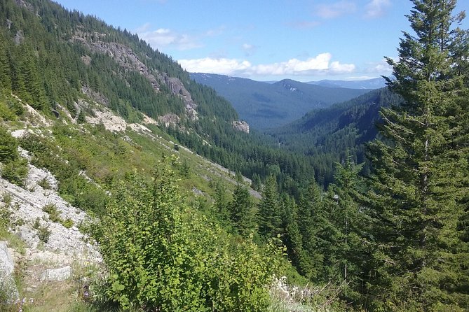 Mt Rainier Private Tour Experience in SUV - Snacks, bottled water, and the small comforts that matter