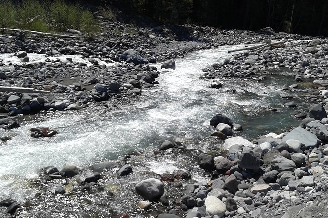 Mt Rainier Private Tour Experience in SUV - Lunch isn’t included: how to plan it without stress