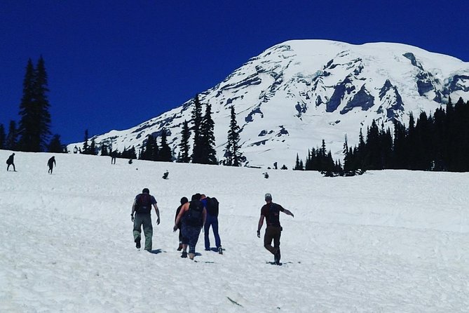 Mt Rainier Private Tour Experience in SUV - Guides like Cheryl and Llyle: what their style means for you