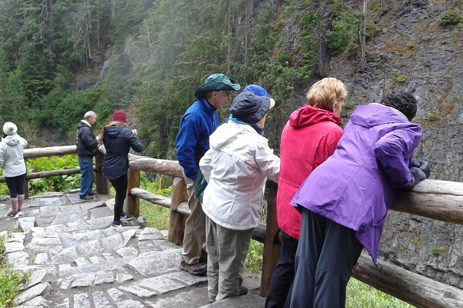 Mt Rainier Private Tour Experience in SUV - Stop 1 at Mount Rainier: Paradise views plus walk choices