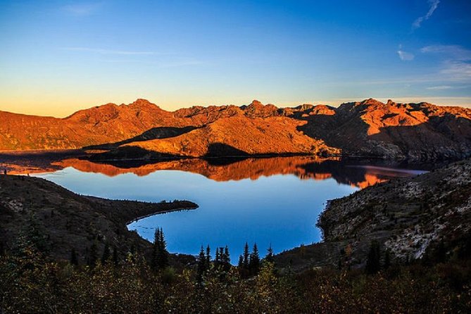 Mt. St. Helens National Monument from Seattle: All-Inclusive Small-Group Tour - Lewis and Clark State Park: Old Growth Forest and Giant Trees