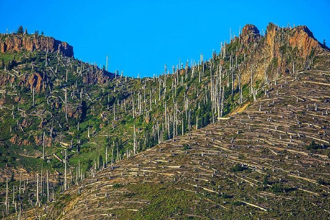 Mt. St. Helens National Monument from Seattle: All-Inclusive Small-Group Tour - The Visitor Center Stop: Learn, Reset, and Keep Your Energy