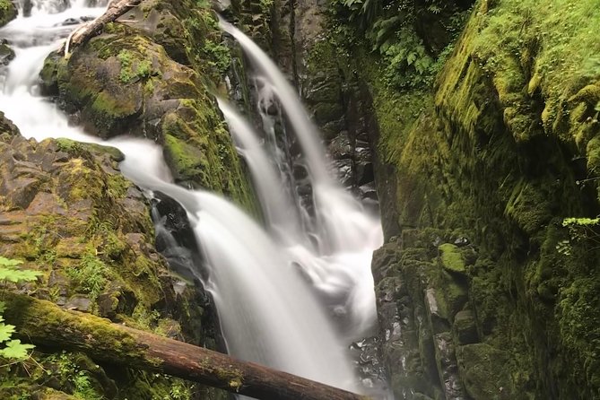 Olympic National Park Day Tour from Seattle - Key things to know before you go