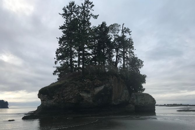 Olympic National Park Day Tour from Seattle - Lake Crescent: choose your pace between trails and pure relaxation