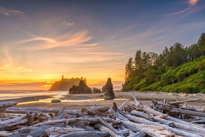 Olympic National Park Small Group Day Tour w/Scenic Ferry 2CanGo - Key Things to Know Before You Go