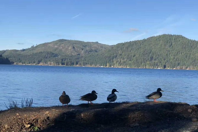 Olympic National Park Small Group Day Tour w/Scenic Ferry 2CanGo - Ediz Hook and East Beach When Hurricane Ridge Is Closed